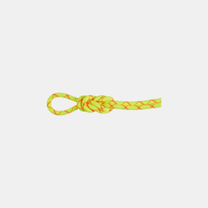 9.5 Alpine Core Protect Trockenseil 60 m