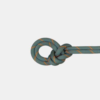 9.9 Crag Workhorse Trockenseil 60m