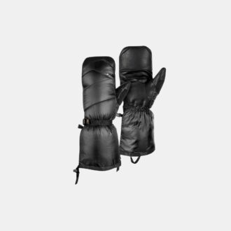 Arktischer Handschuh