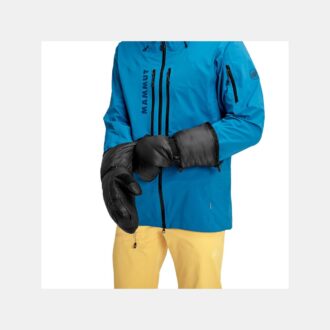 Arktischer Handschuh