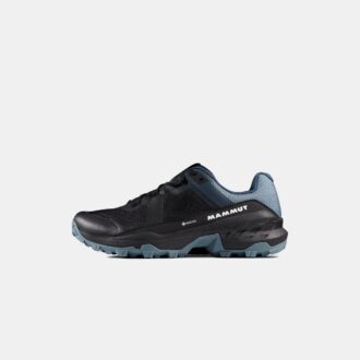 Girun II Low GTX Herren