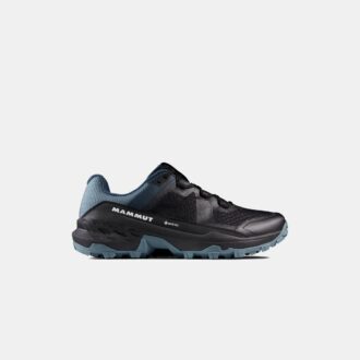 Girun II Low GTX Herren
