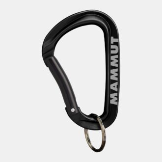 Mammut Mini-Karabiner Workhorse Keylock L