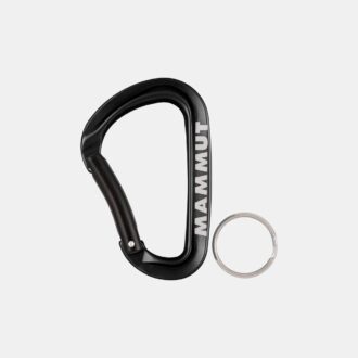 Mammut Mini-Karabiner Workhorse Keylock L