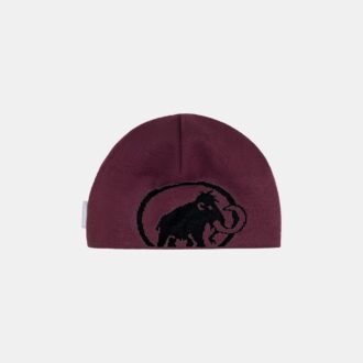 Tweak Beanie